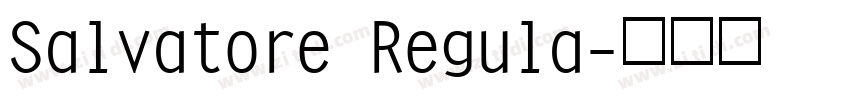 Salvatore Regula字体转换